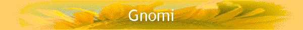 Gnomi